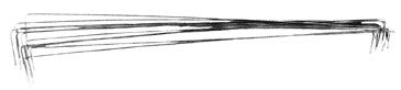 Sage Cut Wire Size 8 - N6305 8